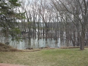 Crow River Rising
